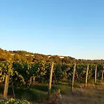 Casa Do Vale-villa With Private Pool And Garden Palmela