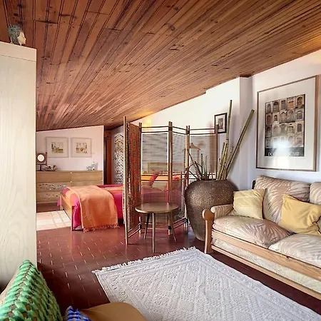 ヴィラ Casa Do Vale-villa With Private Pool And Garden パルメラ